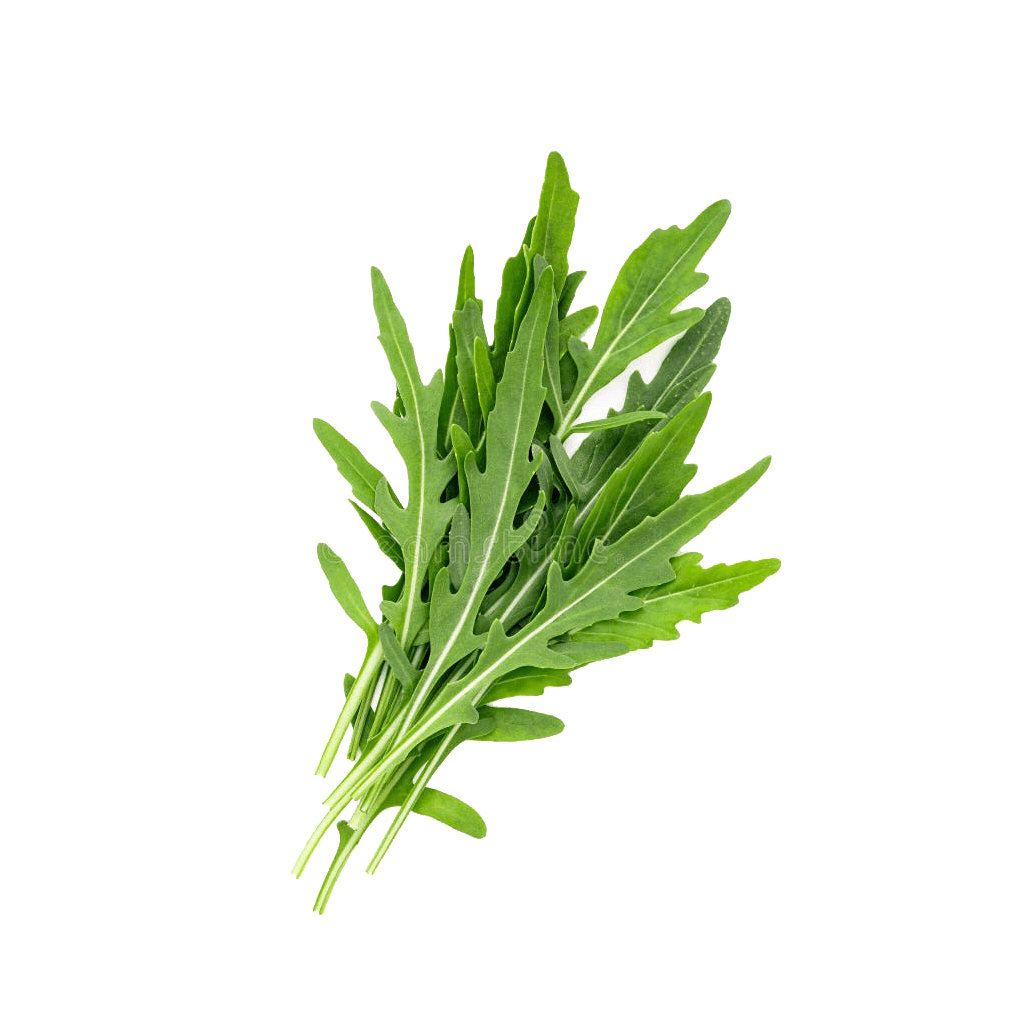 Arugula