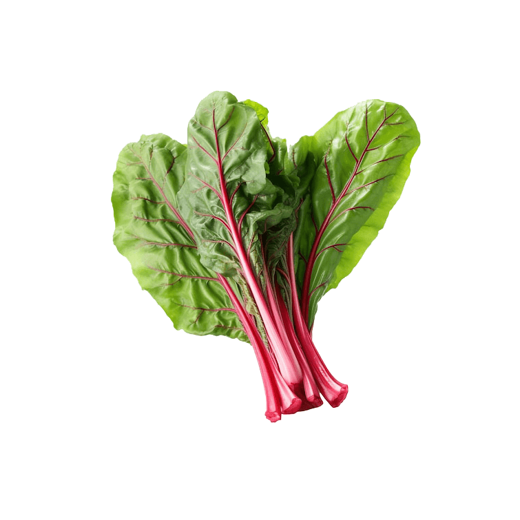 Swiss Chard